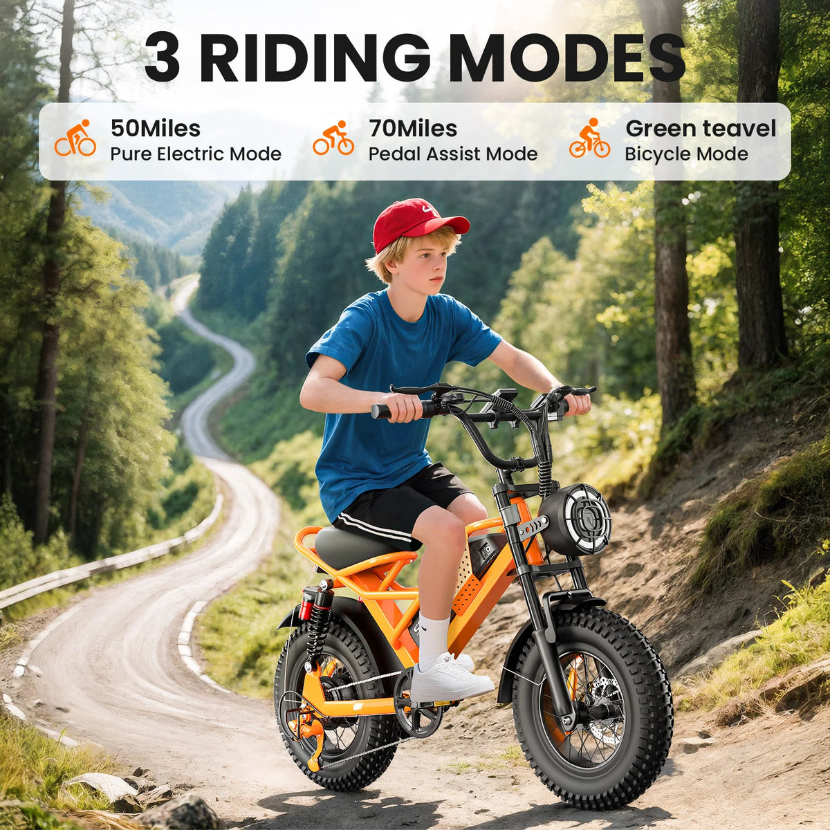 EILLEO SPACEWALK 1500W All Terrain Fat Tire Electric Bike