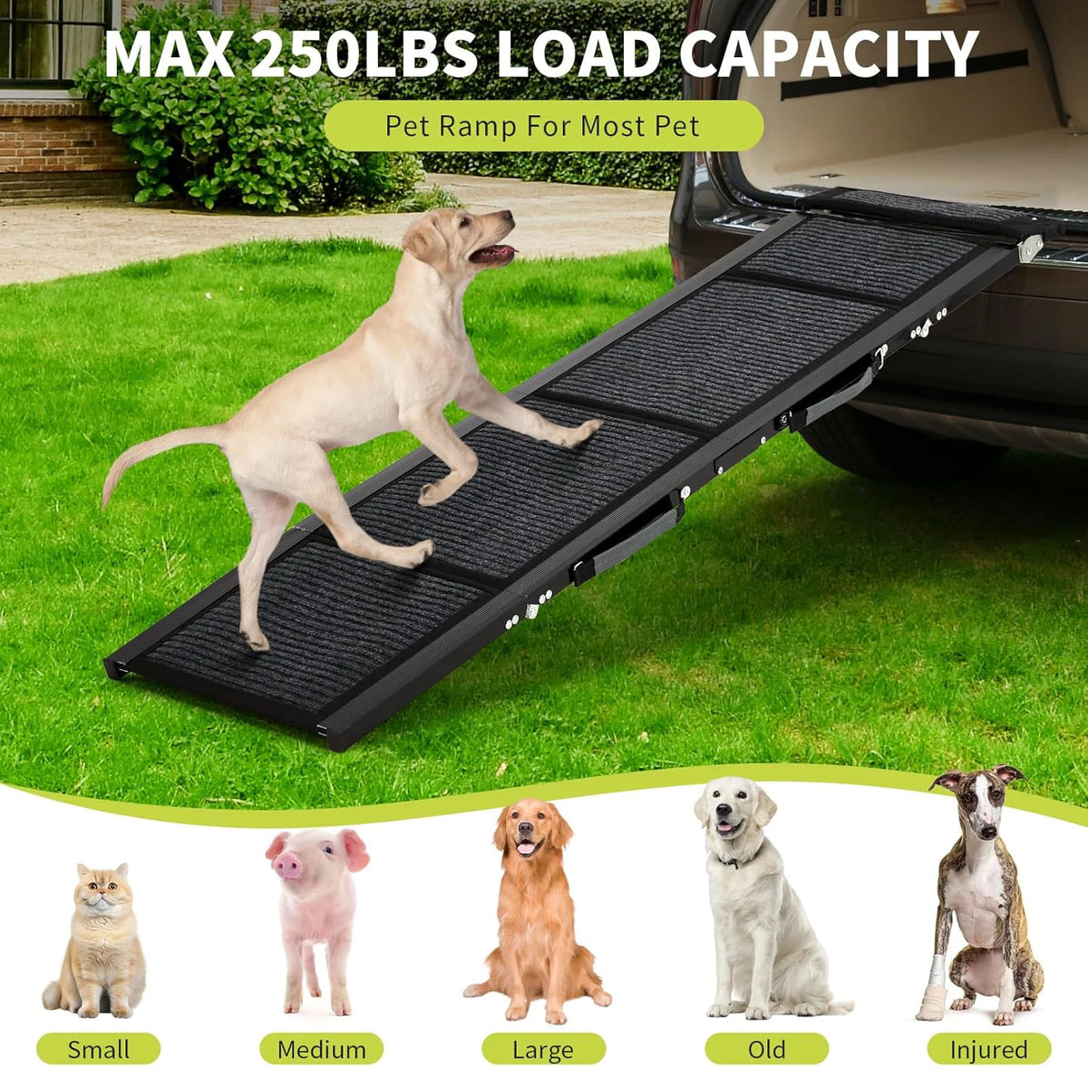 HiMISS Folding Car Ramp For Large Dogs With Traction