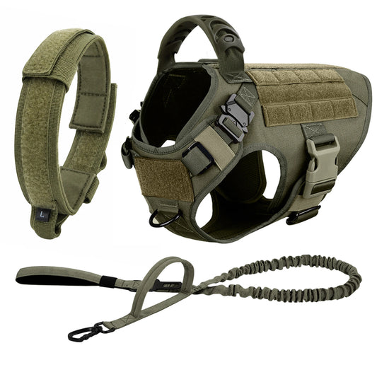 PETRAVEL Dog Harness And Leash Set For Training And Walking