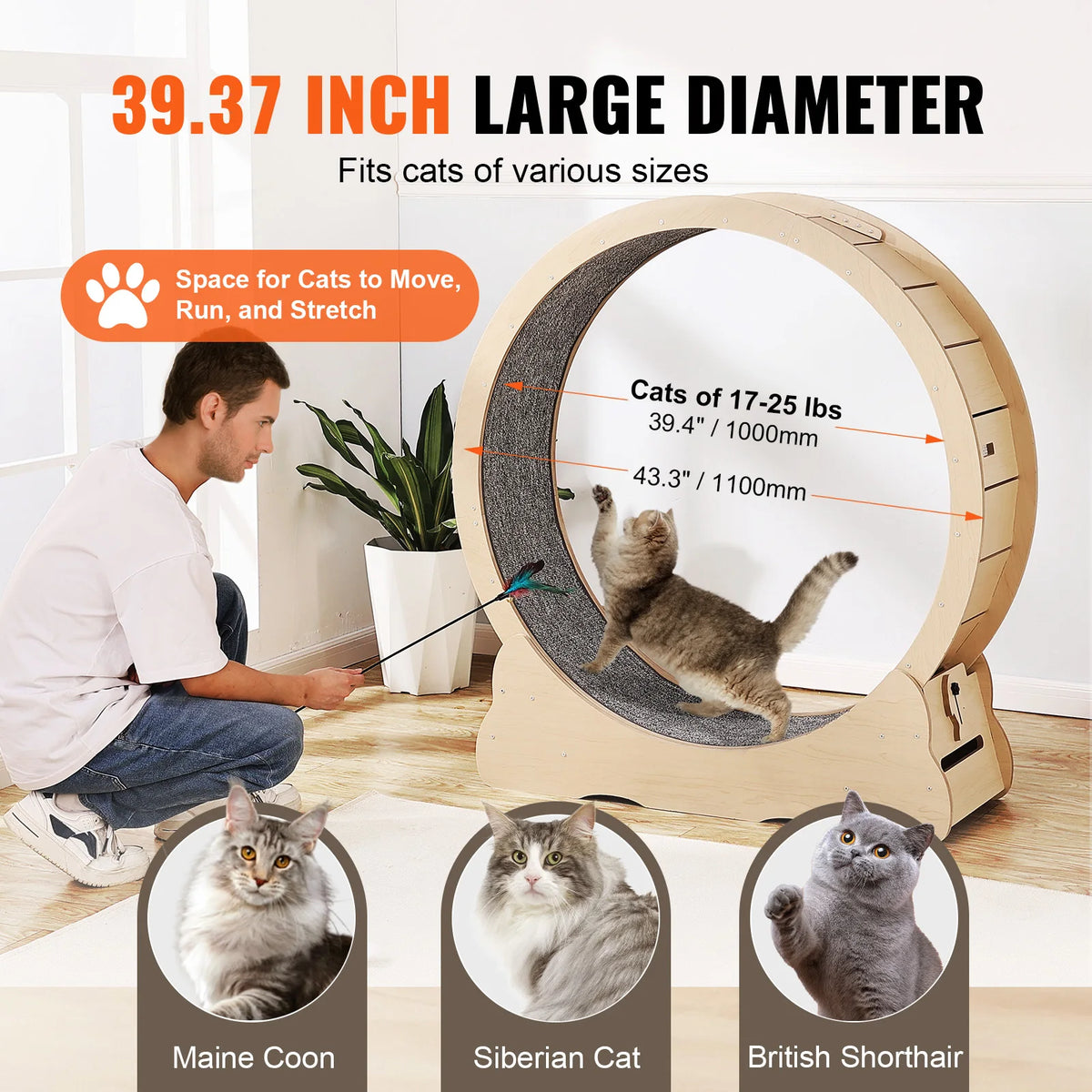 Solid Wooden Cat Running Wheel For Indoor Fitness Training