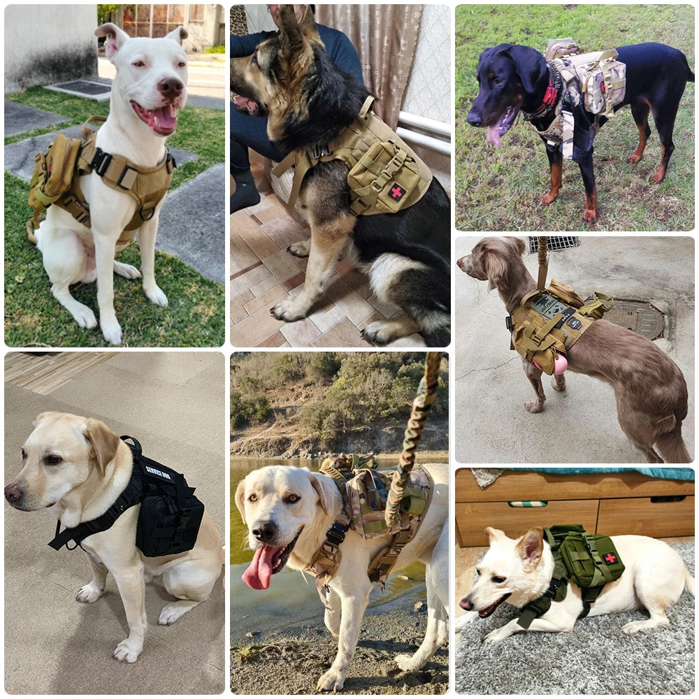 Heavy Duty Tactical Dog Harness Leash Set With Handle