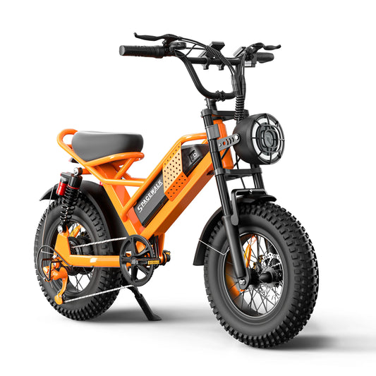 EILLEO SPACEWALK 1500W All Terrain Fat Tire Electric Bike